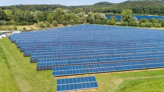 Eine großflächige Photovoltaik-Anlage auf einer Wiese mit Wald im Hintergrund