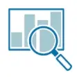Icon blau und weiß mit einer Lupe Bewachung und Steuerung