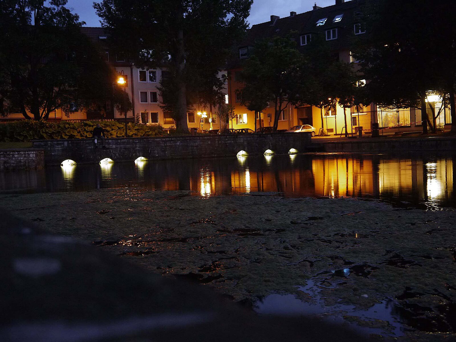 Beleuchtetes Paderquellgebiet mit Häusern im Hintergrund bei Nacht