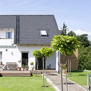 Einfamilienhaus mit Garten Ein Einfamilienhaus mit Garten und Terrasse. Der Himmel ist klar und es ist sonnig.